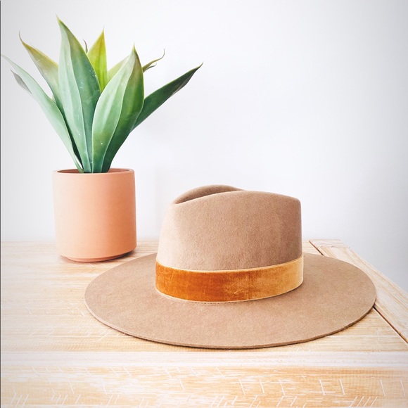 Welcome! 🌵 - Picture 1 of 1